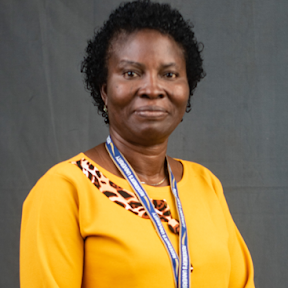 Aderonke O. Akinola (PhD)